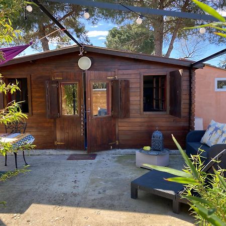 Chalet Des Oliviers 20Mn Des Plages Climatise Béziers Kültér fotó
