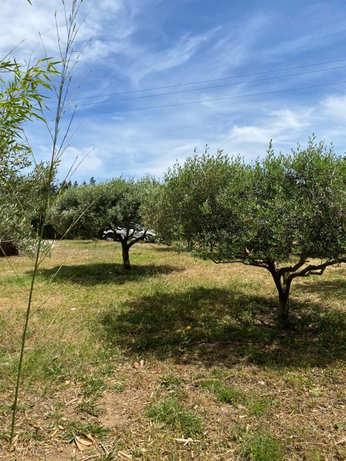 Chalet Des Oliviers 20Mn Des Plages Climatise Béziers Kültér fotó